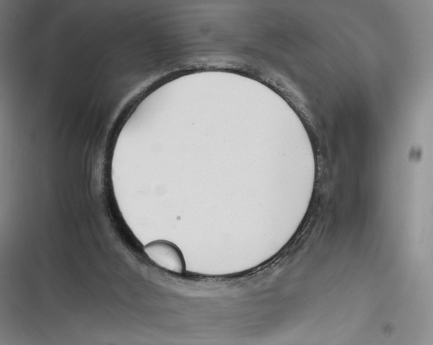 X0000116660012201001111259