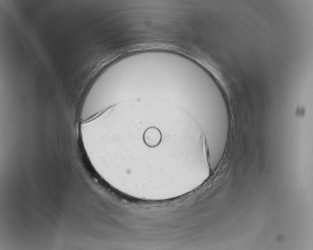 X0000116660013201001111259