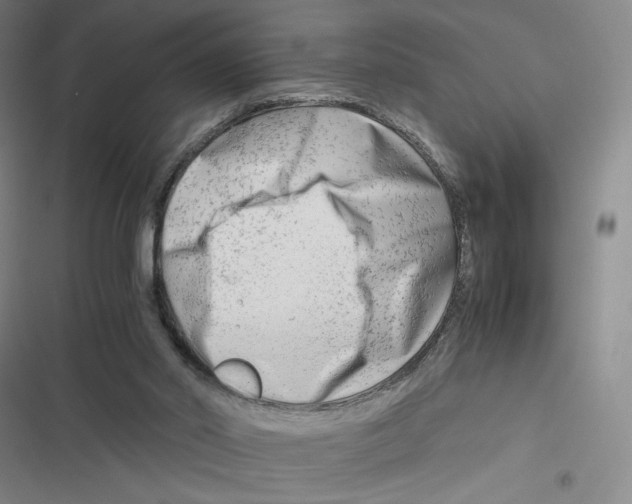X0000116660014201001111259