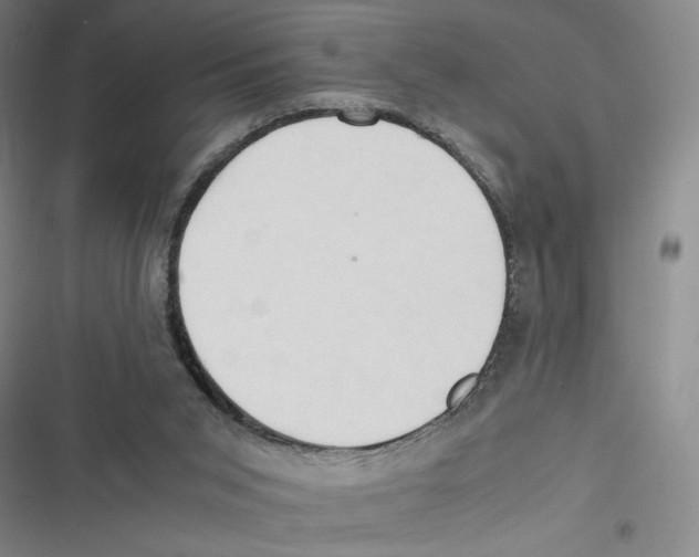 X0000116660015201001111259