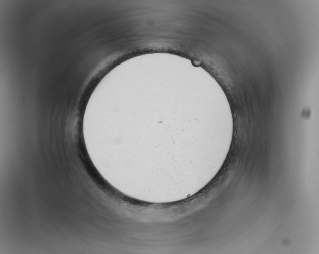 X0000116660016201001111259