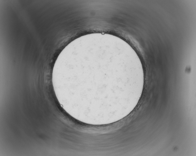 X0000116660017201001111259