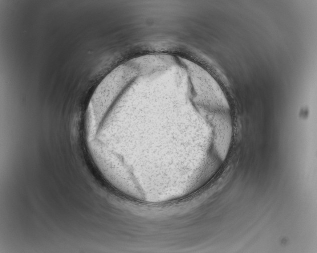 X0000116660018201001111259