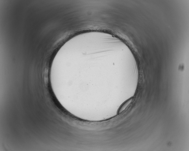 X0000116660019201001111259