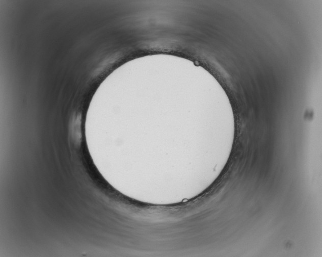 X0000116660020201001111259