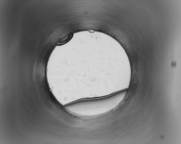X0000116660021201001111259