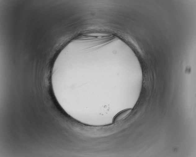 X0000116660023201001111259