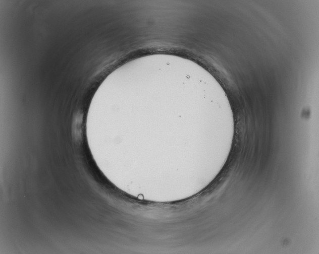 X0000116660024201001111259