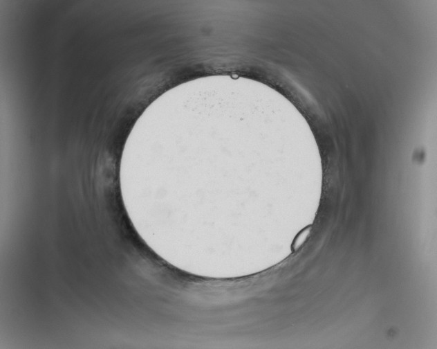 X0000116660025201001111259