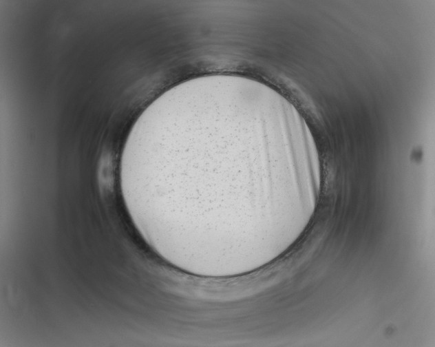 X0000116660026201001111259
