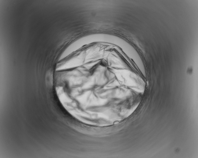 X0000116660027201001111259
