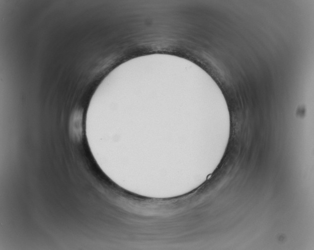 X0000116660028201001111259