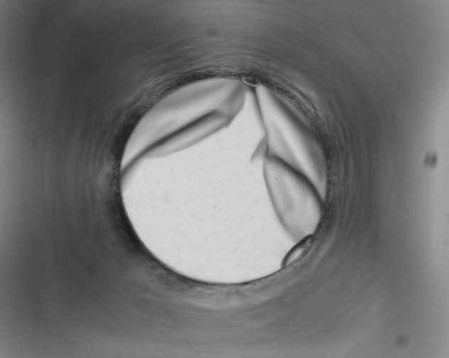 X0000116660029201001111259