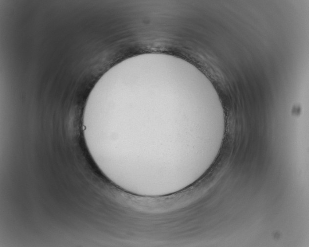 X0000116660030201001111259