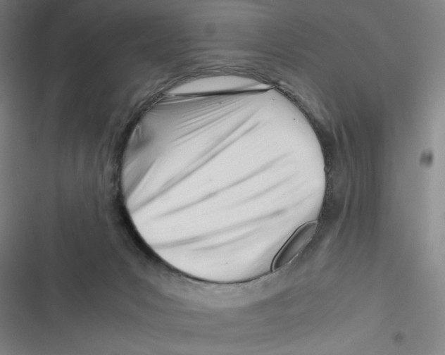 X0000116660031201001111259