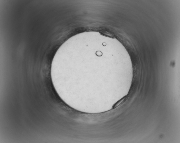 X0000116660033201001111259