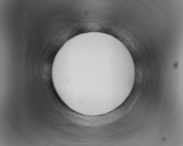 X0000116660034201001111259