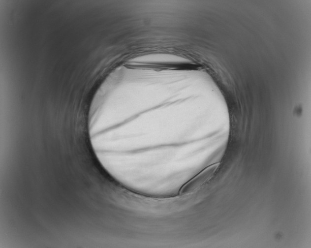 X0000116660035201001111259