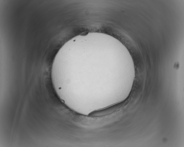 X0000116660037201001111259