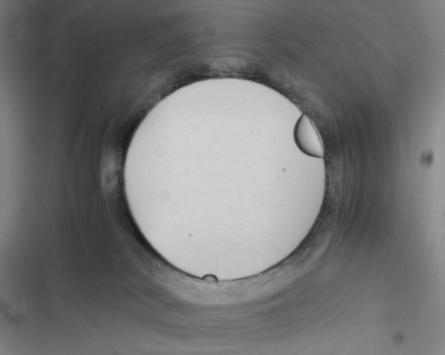 X0000116660038201001111259