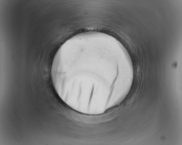 X0000116660039201001111259