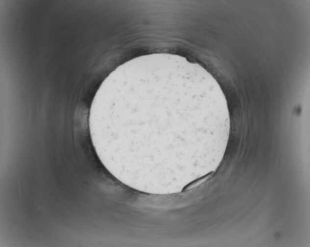 X0000116660041201001111259