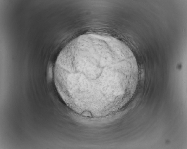 X0000116660042201001111259