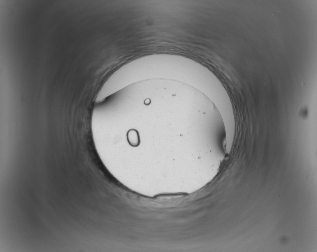 X0000116660043201001111259