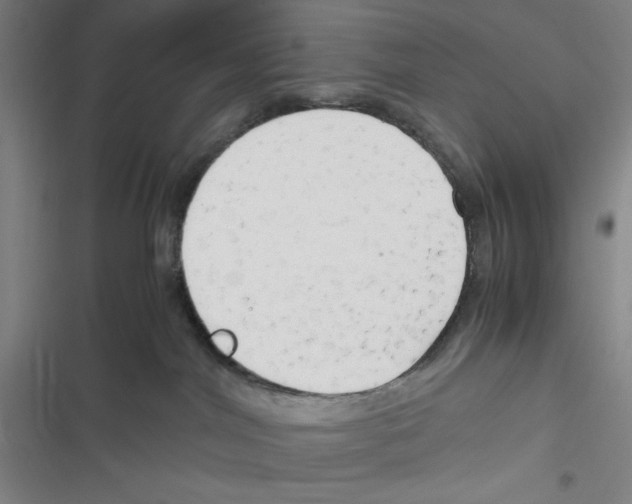 X0000116660044201001111259