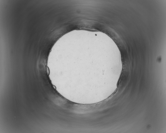 X0000116660045201001111259