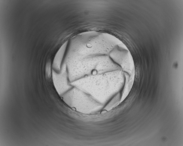 X0000116660046201001111259