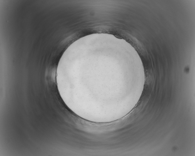 X0000116660047201001111259