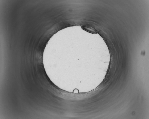 X0000116660048201001111259