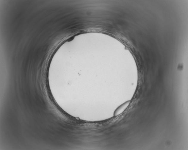 X0000116660049201001111258