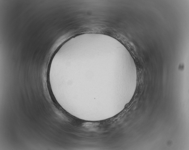 X0000116660051201001111258