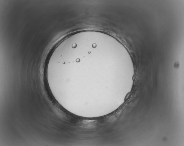 X0000116660055201001111258