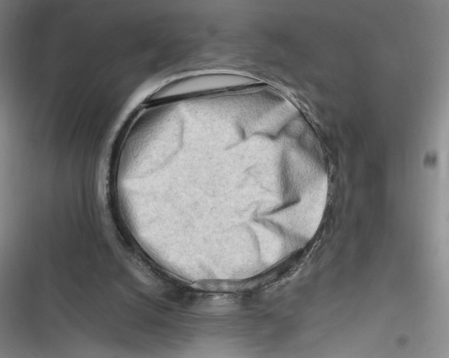 X0000116660056201001111258