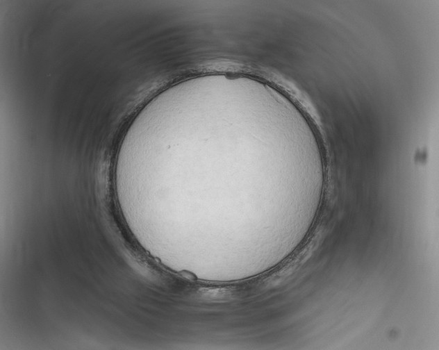 X0000116660057201001111258
