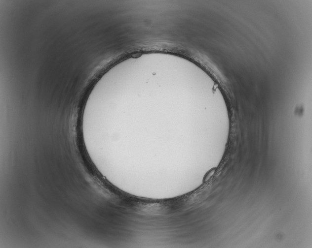 X0000116660058201001111258