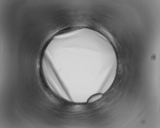 X0000116660059201001111258