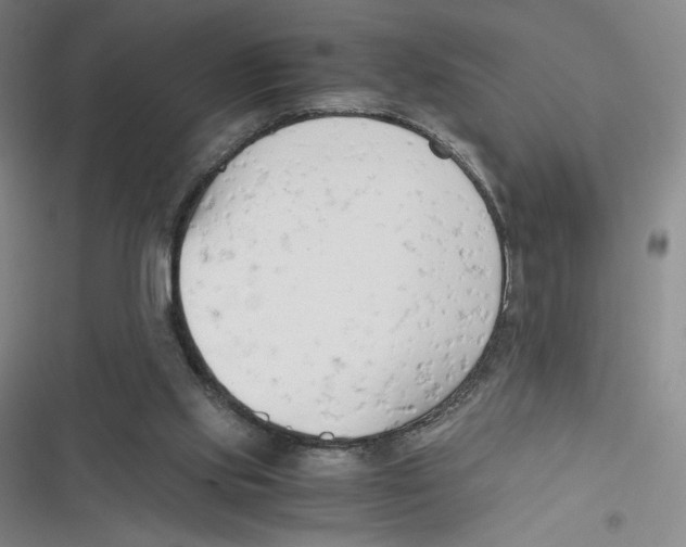 X0000116660061201001111258