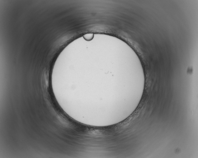 X0000116660062201001111258