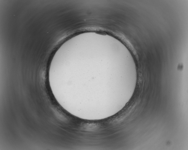 X0000116660063201001111258