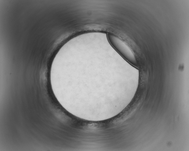 X0000116660064201001111258