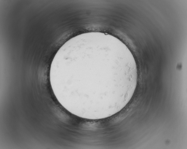 X0000116660065201001111258