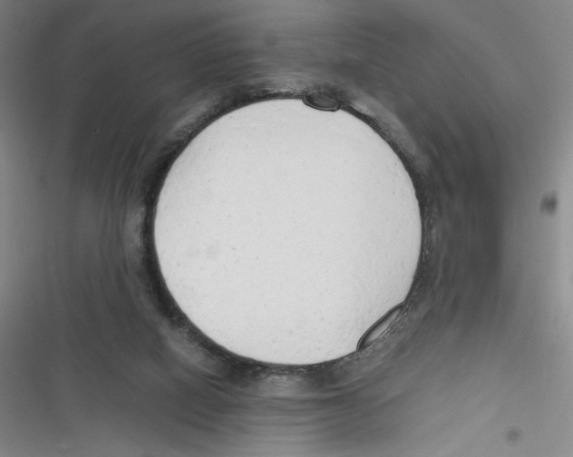 X0000116660066201001111258