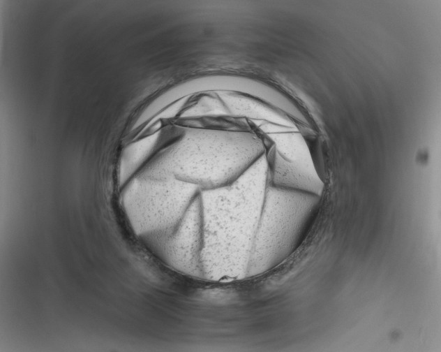 X0000116660067201001111258