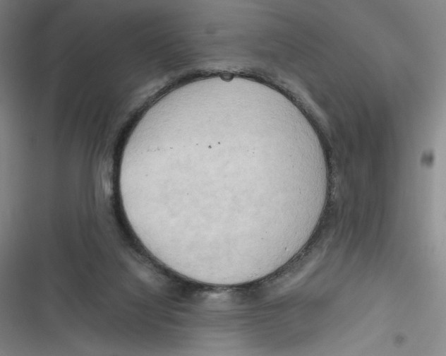 X0000116660068201001111258