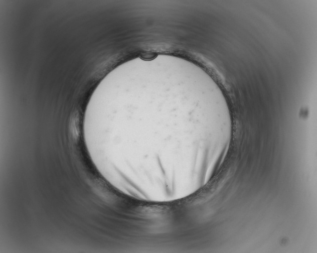 X0000116660069201001111258