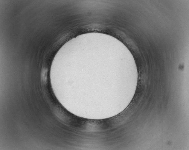 X0000116660070201001111259